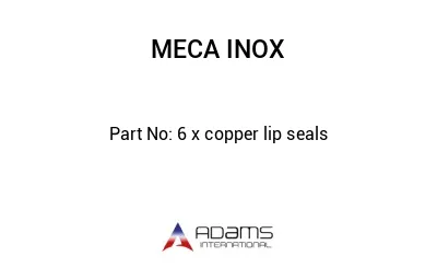 6 x copper lip seals