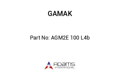 AGM2E 100 L4b