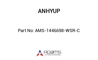 AMS-1446698-WSR-C