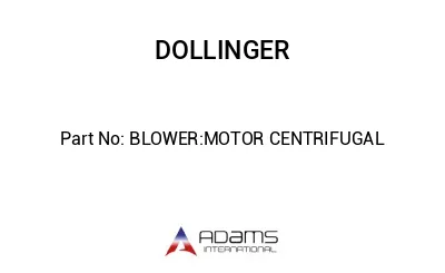 BLOWER:MOTOR CENTRIFUGAL