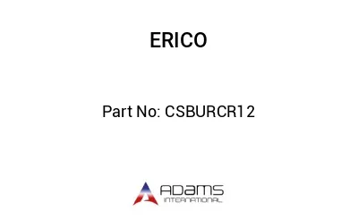 CSBURCR12