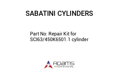 Repair Kit for SCI63/450K6501.1 cylinder