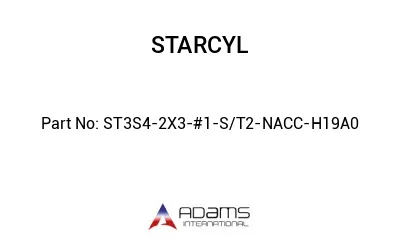 ST3S4-2X3-#1-S/T2-NACC-H19A0