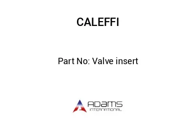 Valve insert