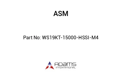 WS19KT-15000-HSSI-M4